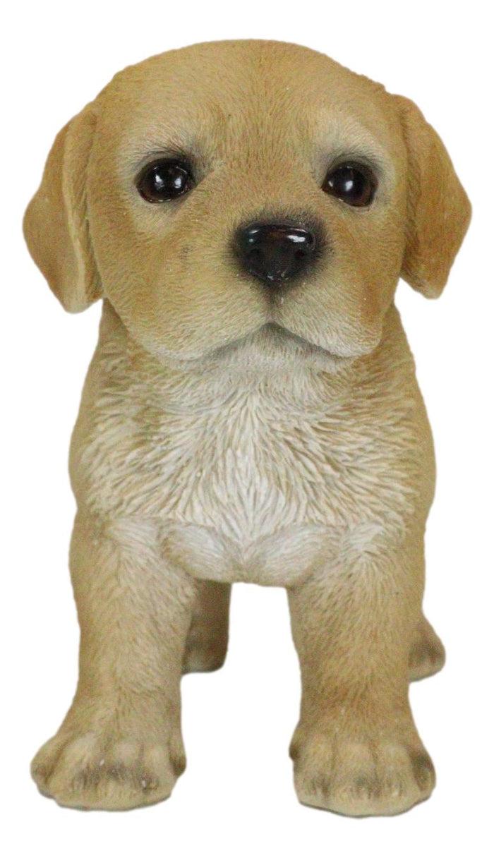 Ebros Gift Adorable Labrador Puppy Dog With Begging Glass Eyes Figurine Pet Pal Animal Art