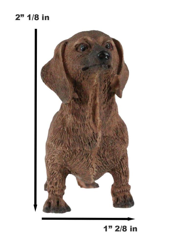 Ebros Gift Adorable Lifelike Pet Pal Chocolate Dachshund Sausage Dog Miniature Figurine