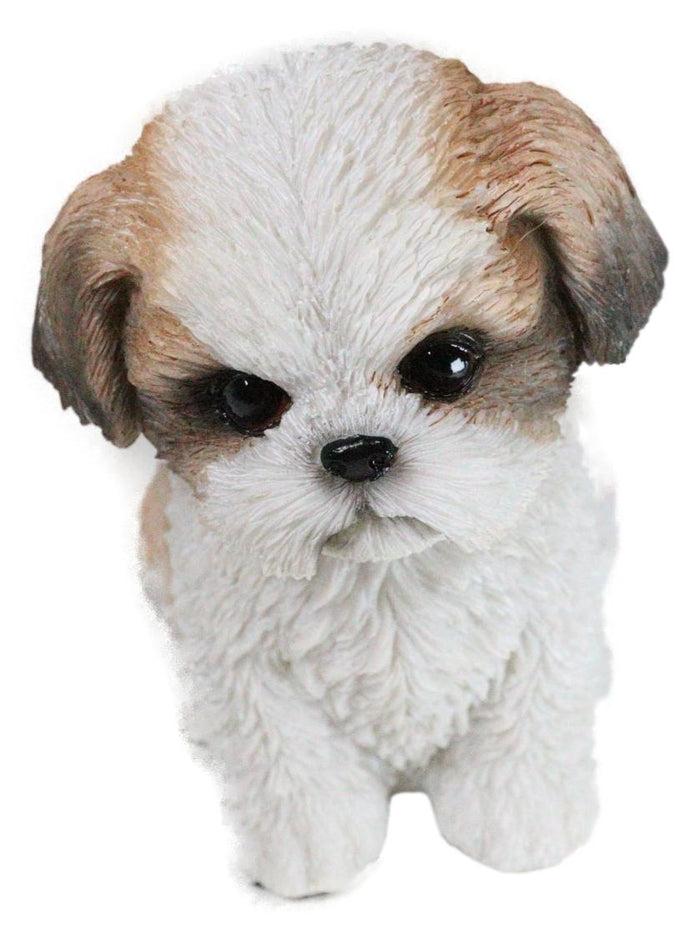 Ebros Gift Adorable Lifelike Shih Tzu Puppy Dog Sitting Figurine With Glass Eyes Home Decor