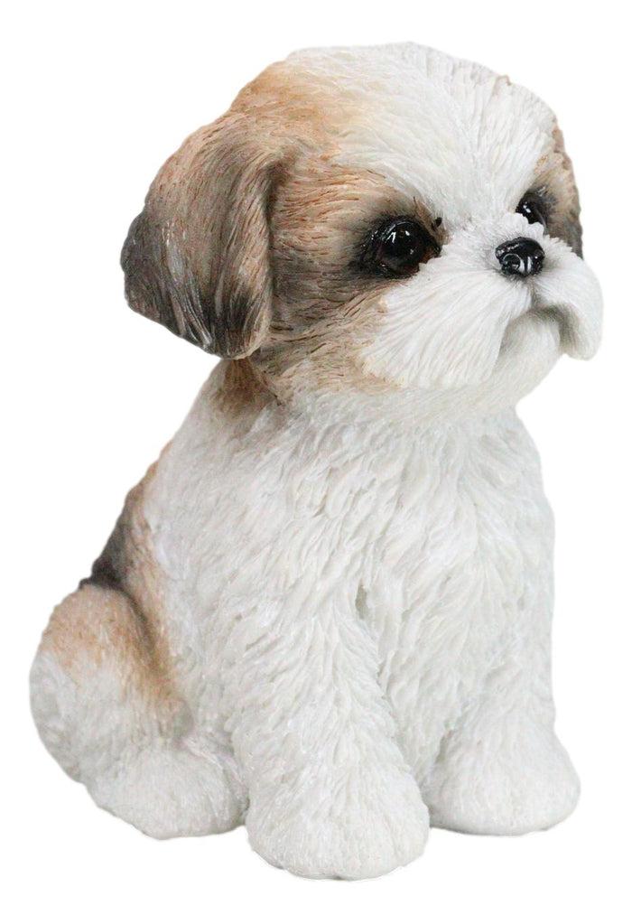 Ebros Gift Adorable Lifelike Shih Tzu Puppy Dog Sitting Figurine With Glass Eyes Home Decor