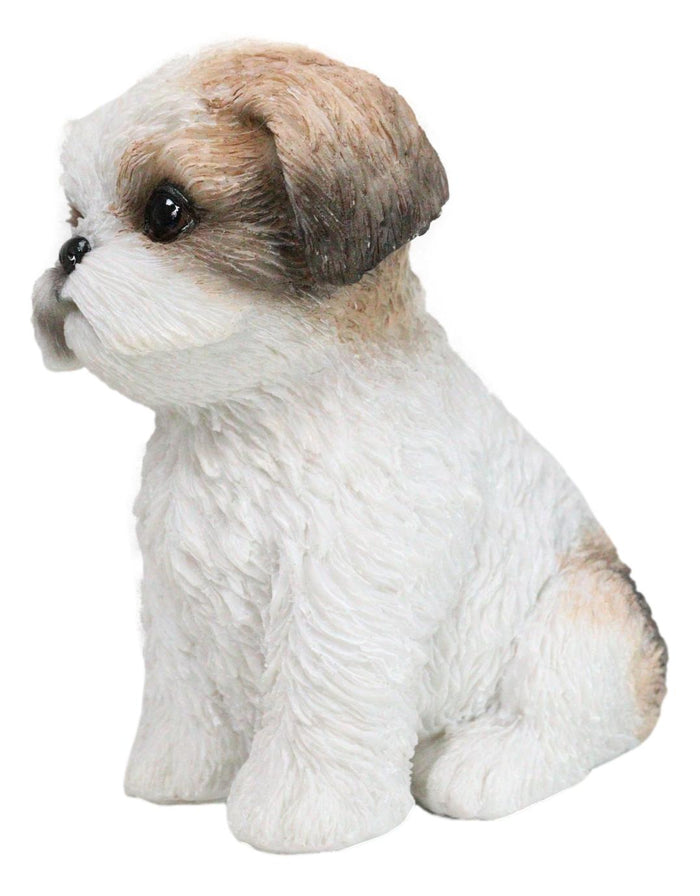 Ebros Gift Adorable Lifelike Shih Tzu Puppy Dog Sitting Figurine With Glass Eyes Home Decor