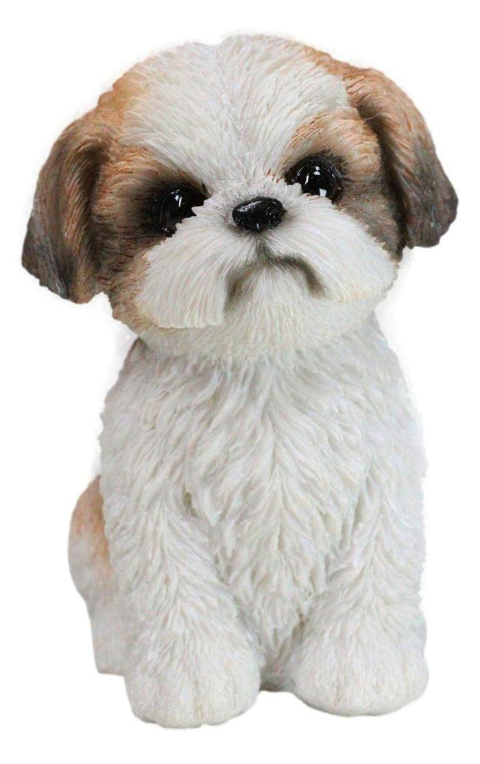 ebros gift Adorable Lifelike Shih Tzu Puppy Dog Sitting Figurine with Glass Eyes Home Decor