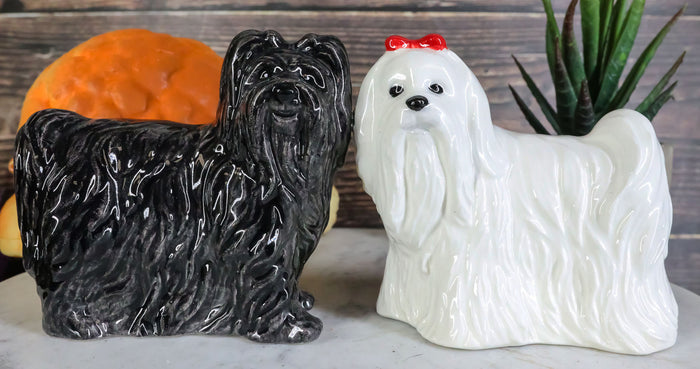 ebros gift Adorable Pedigree Canine Black White Maltese Dogs Ceramic Salt Pepper Shakers