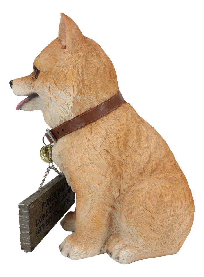 Ebros Gift Adorable Pet Pal Pomeranian Puppy Dog With Jingle Collar And Plank Sign Statue