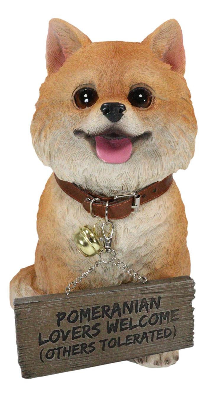 Ebros Gift Adorable Pet Pal Pomeranian Puppy Dog With Jingle Collar And Plank Sign Statue