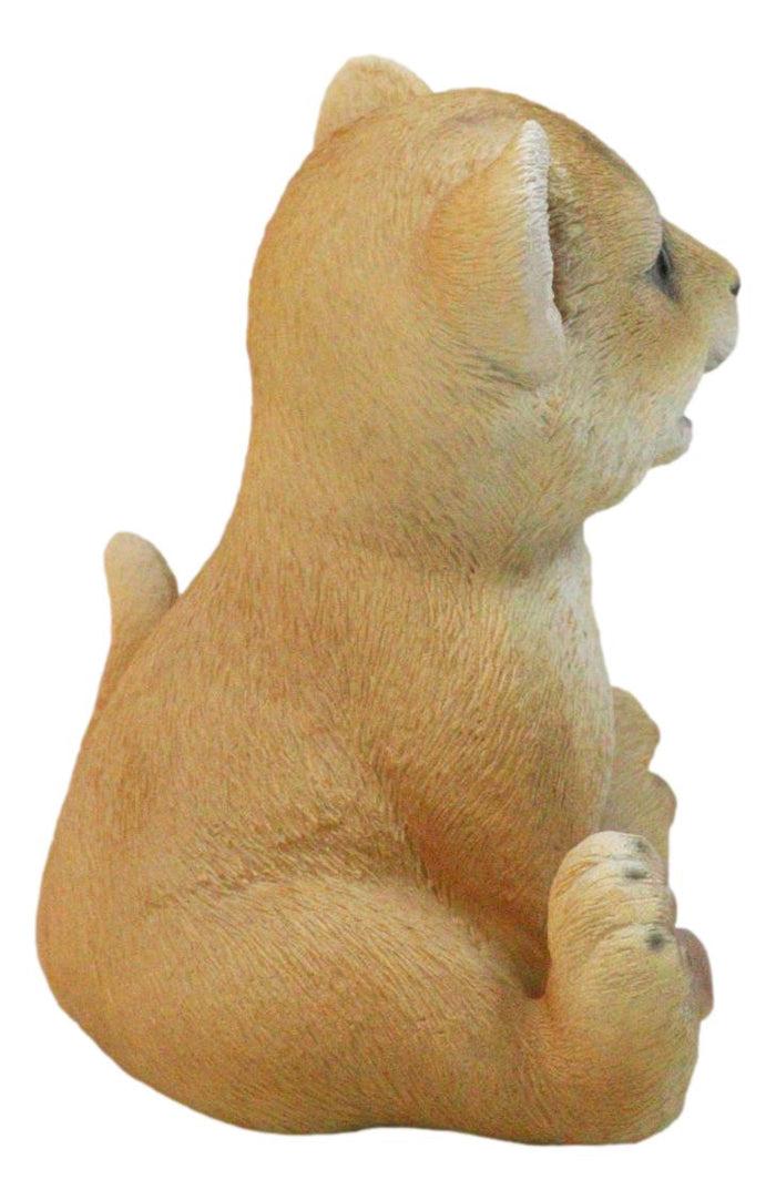 Ebros Gift Adorable Prince Of The Safari Jungle Forest African Lion Cub Figurine 4" Long