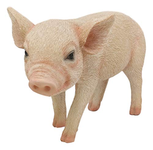 Ebros Gift Adorable Realistic Animal Farm Babe Piglet Pig Statue 8"L Rustic Country Pigs