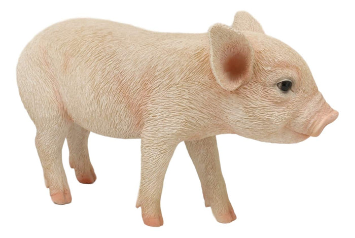 Ebros Gift Adorable Realistic Animal Farm Babe Piglet Pig Statue 8"L Rustic Country Pigs
