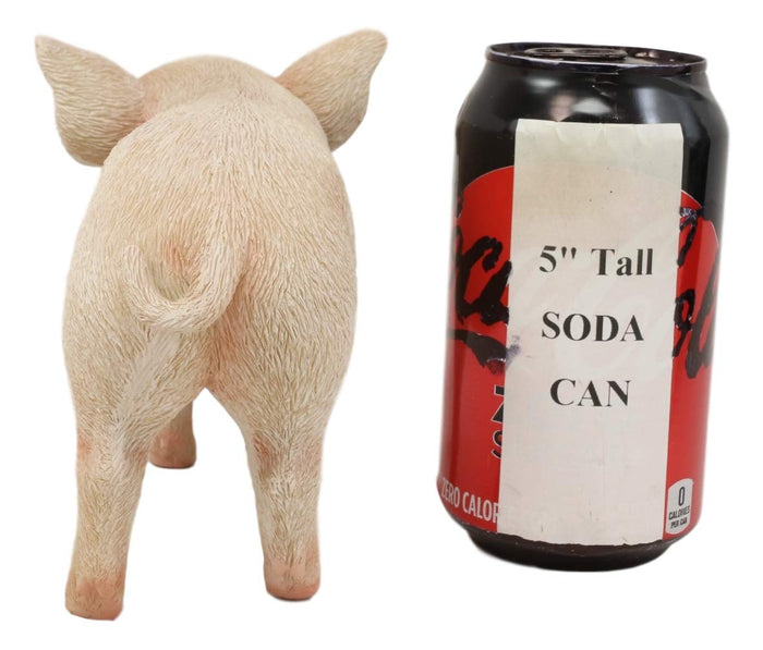 Ebros Gift Adorable Realistic Animal Farm Babe Piglet Pig Statue 8"L Rustic Country Pigs