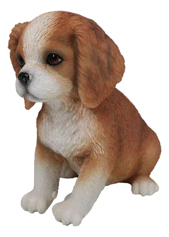 Ebros Gift Adorable Tricolor Cavalier King Charles Spaniel Puppy Dog Breed Figurine 6"L