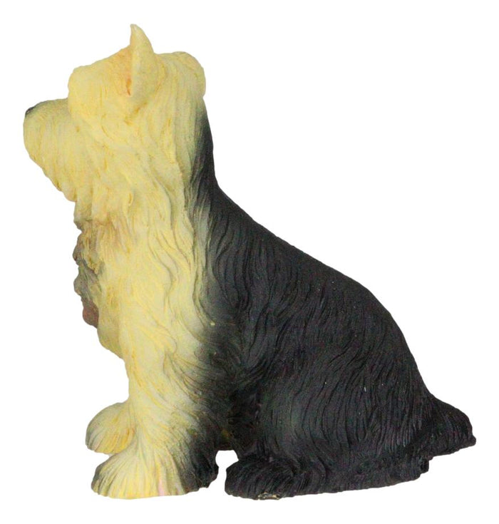 Ebros Gift Adorable Yorkie Puppy Dog Pet Pal Dollhouse Mini Figurine Yorkshire Terrier