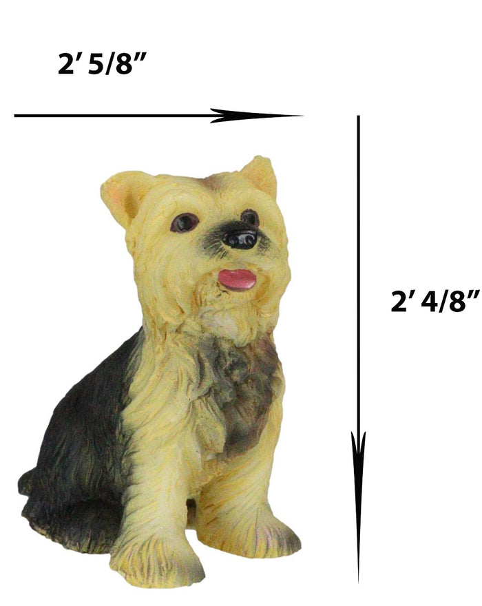 Ebros Gift Adorable Yorkie Puppy Dog Pet Pal Dollhouse Mini Figurine Yorkshire Terrier