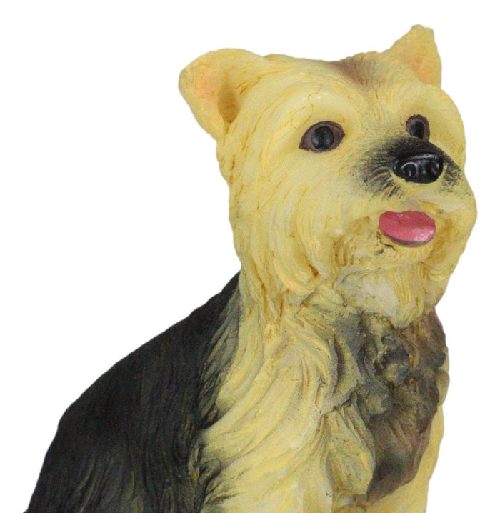Ebros Gift Adorable Yorkie Puppy Dog Pet Pal Dollhouse Mini Figurine Yorkshire Terrier