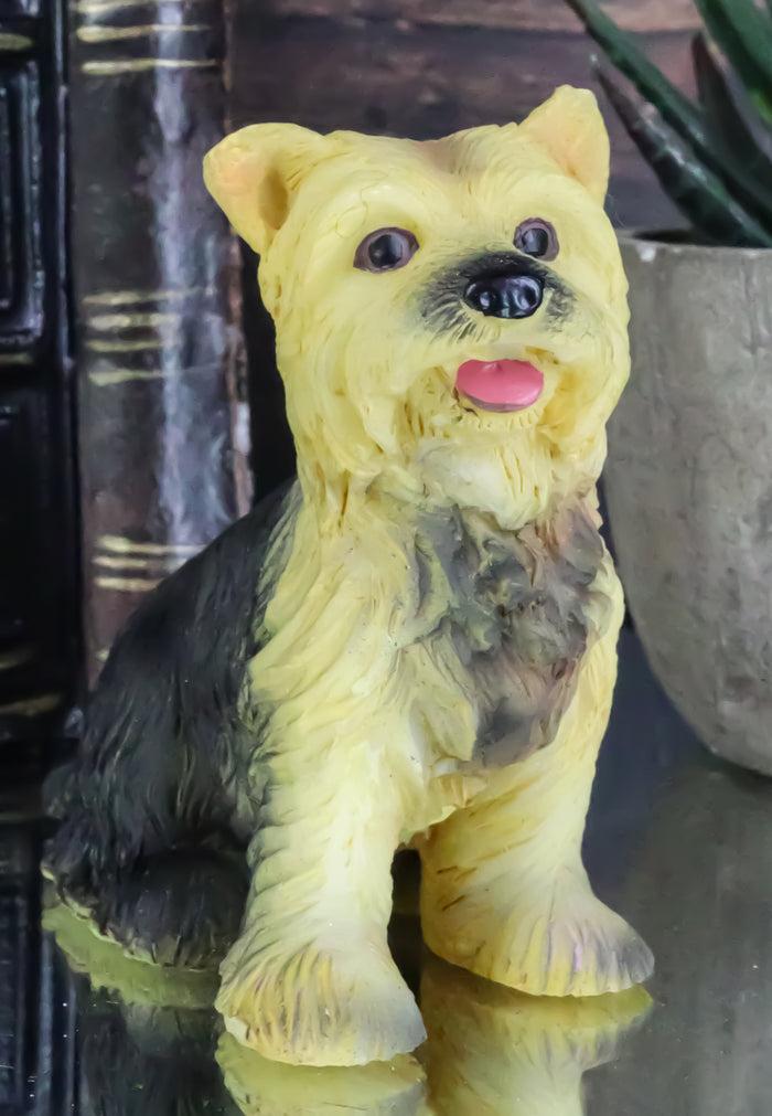 ebros gift Adorable Yorkie Puppy Dog Pet Pal Dollhouse Mini Figurine Yorkshire Terrier