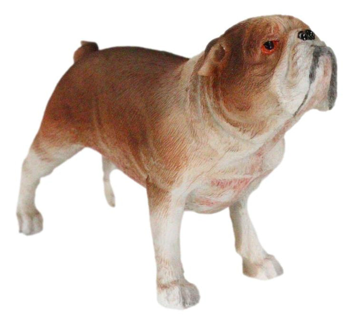 Ebros Gift American Pedigree Dogs Lifelike Bulldog Bull Puppy Dog Miniature Figurine