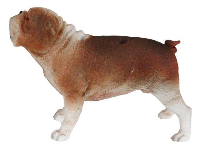 Ebros Gift American Pedigree Dogs Lifelike Bulldog Bull Puppy Dog Miniature Figurine