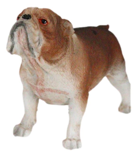 Ebros Gift American Pedigree Dogs Lifelike Bulldog Bull Puppy Dog Miniature Figurine