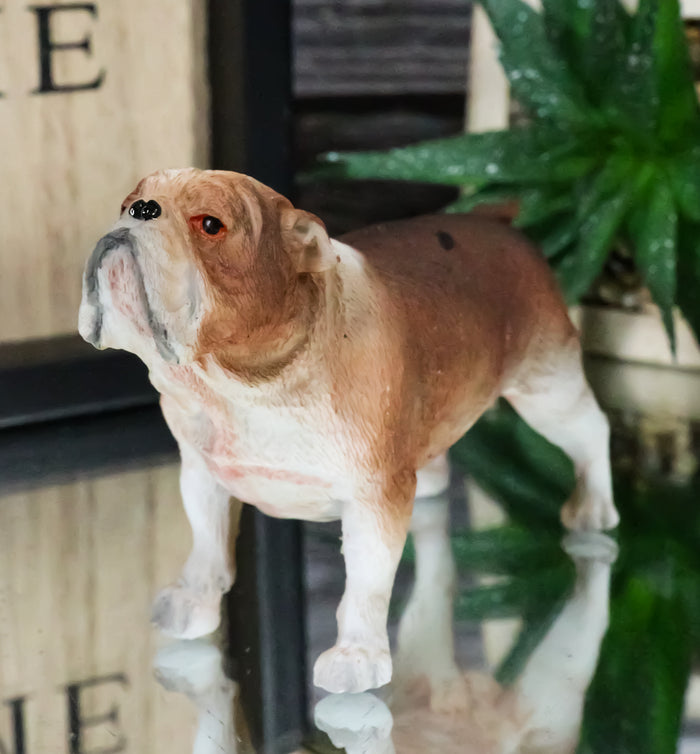ebros gift American Pedigree Dogs Lifelike Bulldog Bull Puppy Dog Miniature Figurine