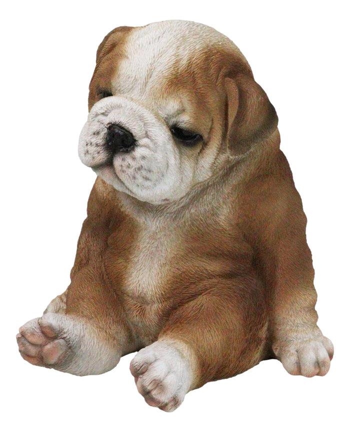 Ebros Gift American Pedigree Dogs Lifelike Bulldog Puppy Dog Laid Back Sitting Figurine