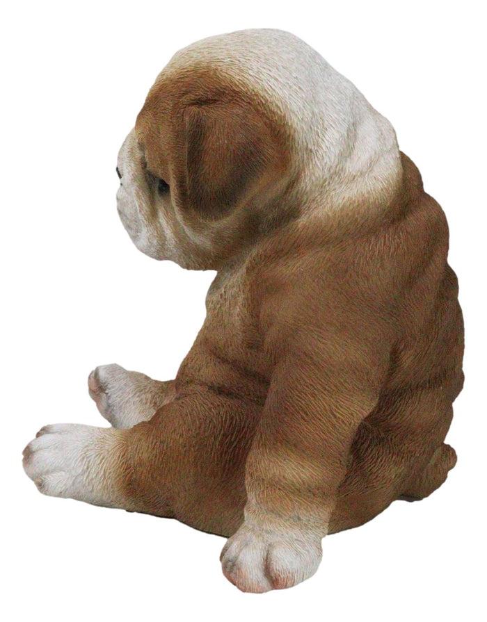 Ebros Gift American Pedigree Dogs Lifelike Bulldog Puppy Dog Laid Back Sitting Figurine