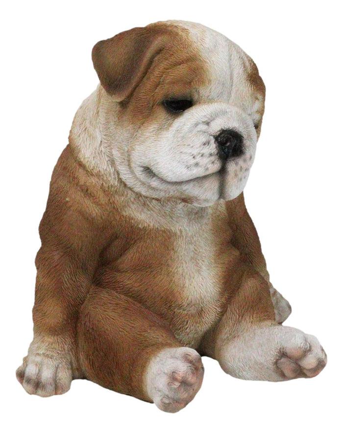 Ebros Gift American Pedigree Dogs Lifelike Bulldog Puppy Dog Laid Back Sitting Figurine
