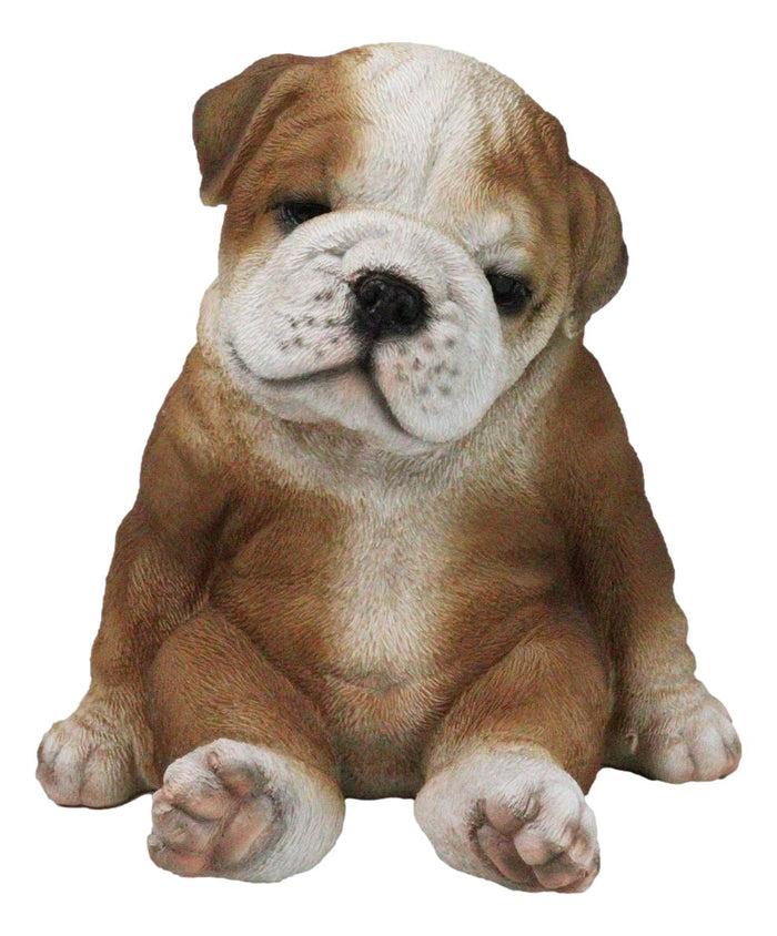 ebros gift American Pedigree Dogs Lifelike Bulldog Puppy Dog Laid Back Sitting Figurine