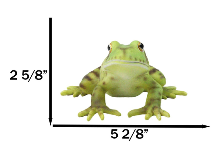 Ebros Gift Amphibian Wild Creatures Realistic Green Frog Decorative Figurine