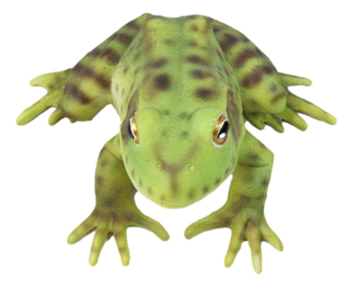 Ebros Gift Amphibian Wild Creatures Realistic Green Frog Decorative Figurine