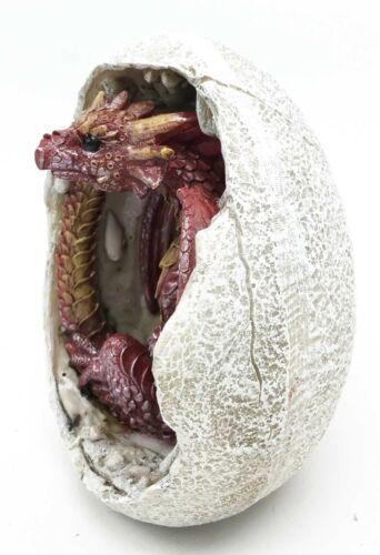 Ebros Gift Ancient Mercury Red Dragon Hatchling Breaking Out Of Egg Shell Figurine Fantasy