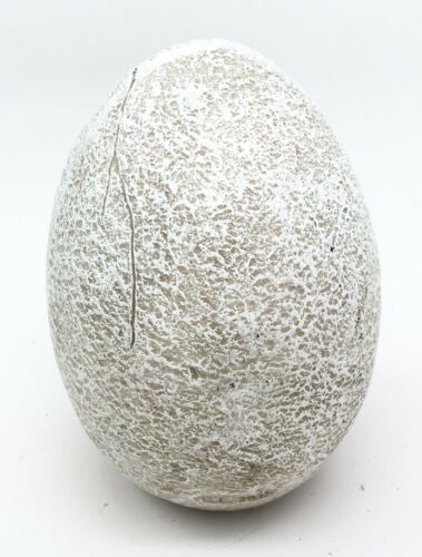 Ebros Gift Ancient Mercury Red Dragon Hatchling Breaking Out Of Egg Shell Figurine Fantasy