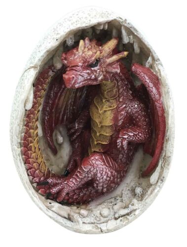 ebros gift Ancient Mercury Red Dragon Hatchling Breaking Out Of Egg Shell Figurine Fantasy