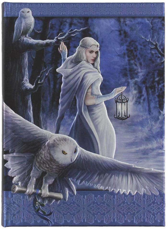 Ebros Gift Anne Stoke Curiosity Corner Midnight Messenger With Owl Embossed Journal