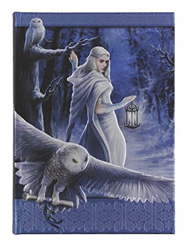 ebros gift Anne Stoke Curiosity Corner Midnight Messenger with Owl Embossed Journal