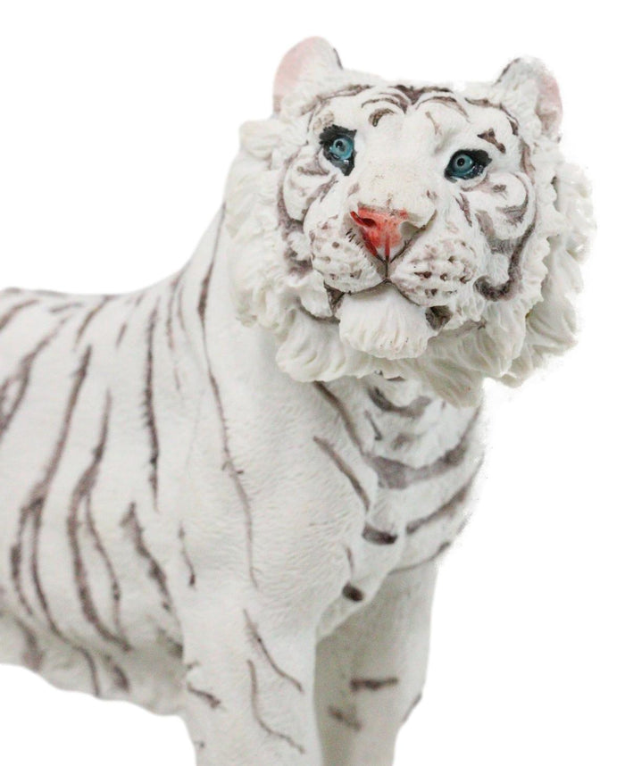 Ebros Gift Apex Jungle Predator Prowling Fierce Siberian White Bengal Tiger Figurine