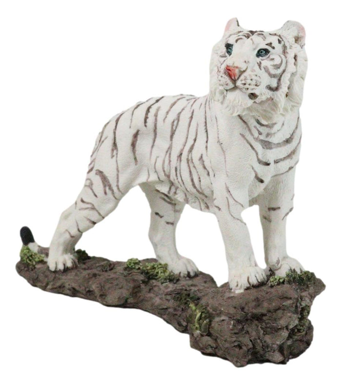 ebros gift Apex Jungle Predator Prowling Fierce Siberian White Bengal Tiger Figurine