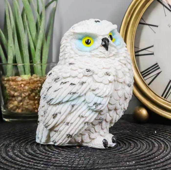 Ebros Gift Arctic Ghostlike White Snow Owl Chick Cute Figurine Mini Collectible Sculpture