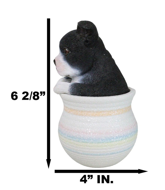 Ebros Gift Black White Tuxedo Boston Terrier Puppy Dog Figurine With Glass Eyes Pup In Pot