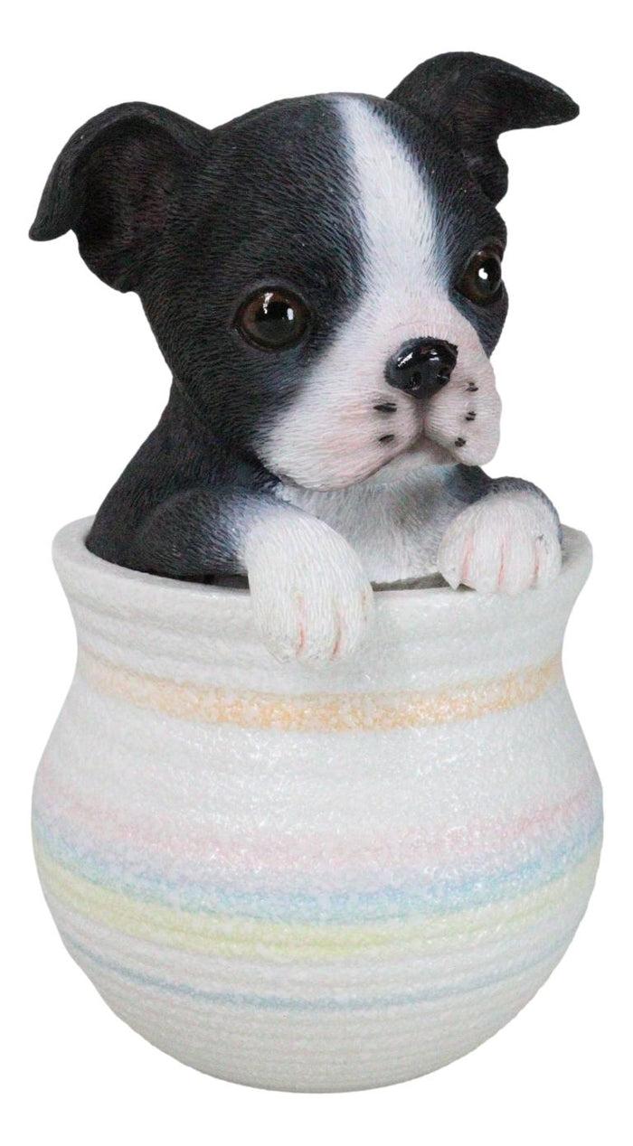 Ebros Gift Black White Tuxedo Boston Terrier Puppy Dog Figurine With Glass Eyes Pup In Pot
