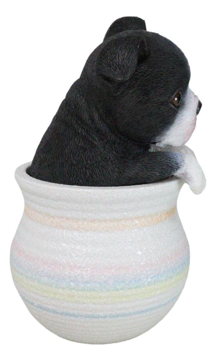 Ebros Gift Black White Tuxedo Boston Terrier Puppy Dog Figurine With Glass Eyes Pup In Pot