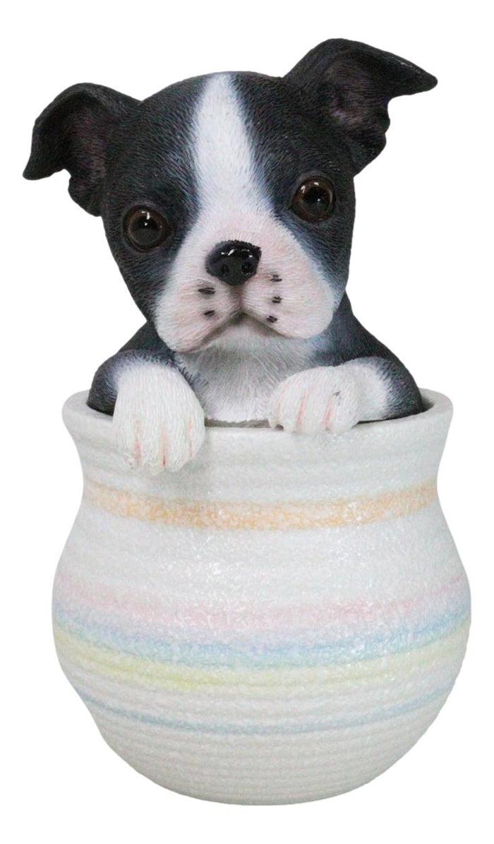 ebros gift Black White Tuxedo Boston Terrier Puppy Dog Figurine With Glass Eyes Pup In Pot