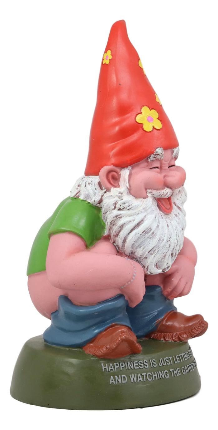Ebros Gift Butt Naked Defecating Fertilizers Organically Pooping Hippie Gnome Statue 12"H