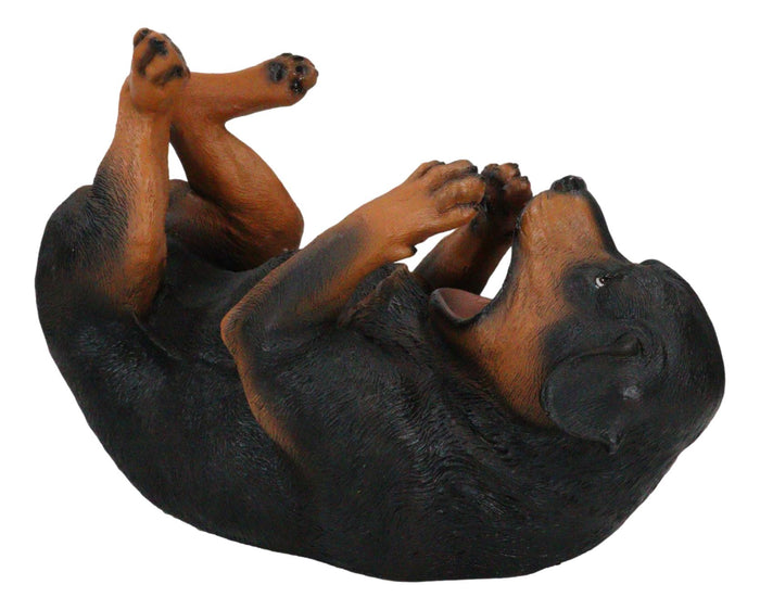 Ebros Gift Canine Pedigree Rottweiler Butcher's Dog Wine Oil Bottle Holder Figurine Kitchen