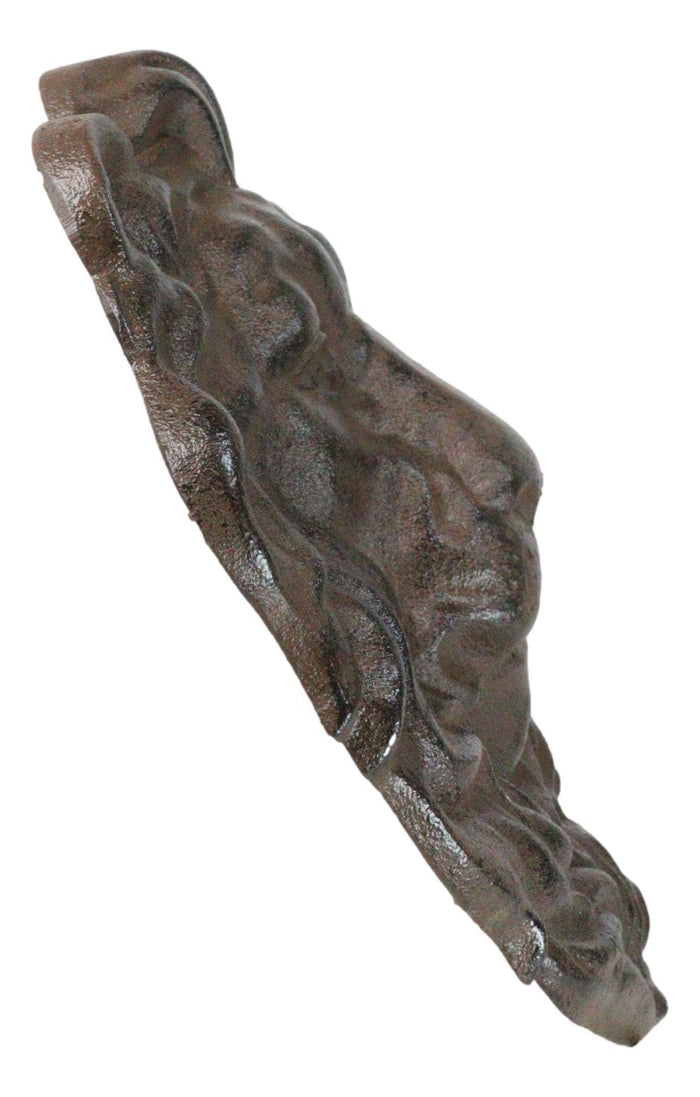 Ebros Gift Cast Iron Aslan The King Of The Jungle Regal Lion Head Wall Plaque Figurine