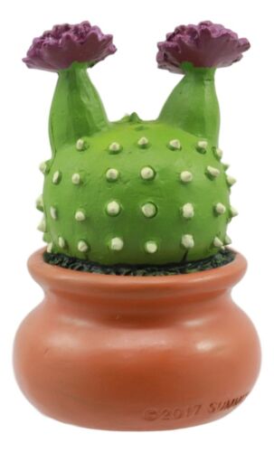 Ebros Gift Cattus Cactus Cat In The Pot Figurine Whimsical Cat That Transforms Into Cactus