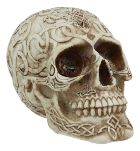 Ebros Gift Celtic Astrology Tribal Knotwork Tattoo Relic Skull Statue 6"L Skeleton Cranium