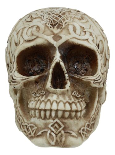 Ebros Gift Celtic Astrology Tribal Knotwork Tattoo Relic Skull Statue 6"L Skeleton Cranium