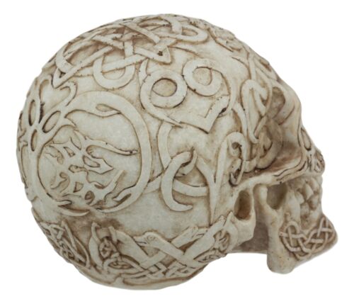 Ebros Gift Celtic Astrology Tribal Knotwork Tattoo Relic Skull Statue 6"L Skeleton Cranium