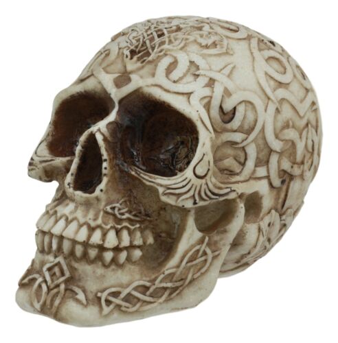 ebros gift Celtic Astrology Tribal Knotwork Tattoo Relic Skull Statue 6"L Skeleton Cranium