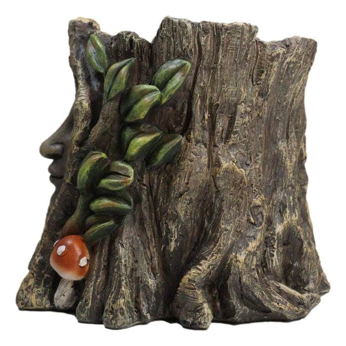 Ebros Gift Celtic Greenman Tree Woman Gaia Dryad Ent Earth Goddess Floral Planter Figurine