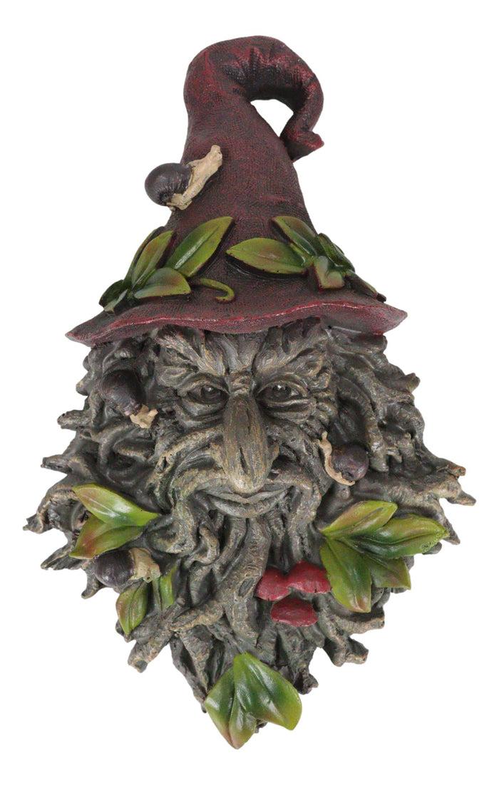 Ebros Gift Celtic Toadstool And Snails Greenman With Magical Sorting Hat Wall Decor Plaque